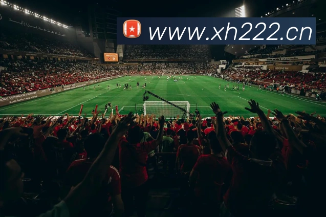 互动解说服务